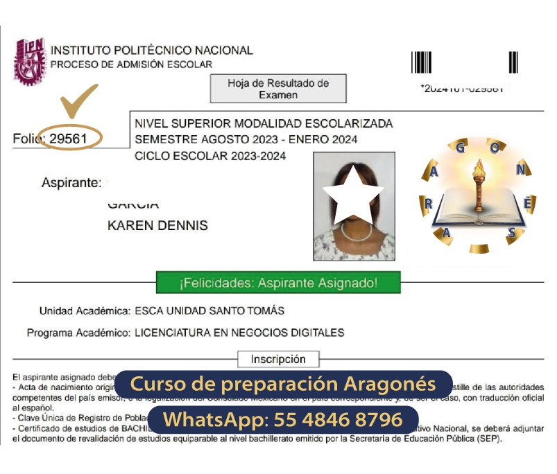 IPN-negociosdigi-2023-ESCA-WEB2024